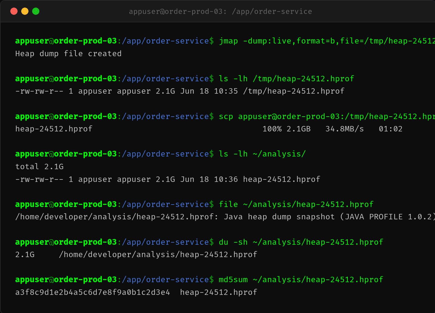 jmap dump