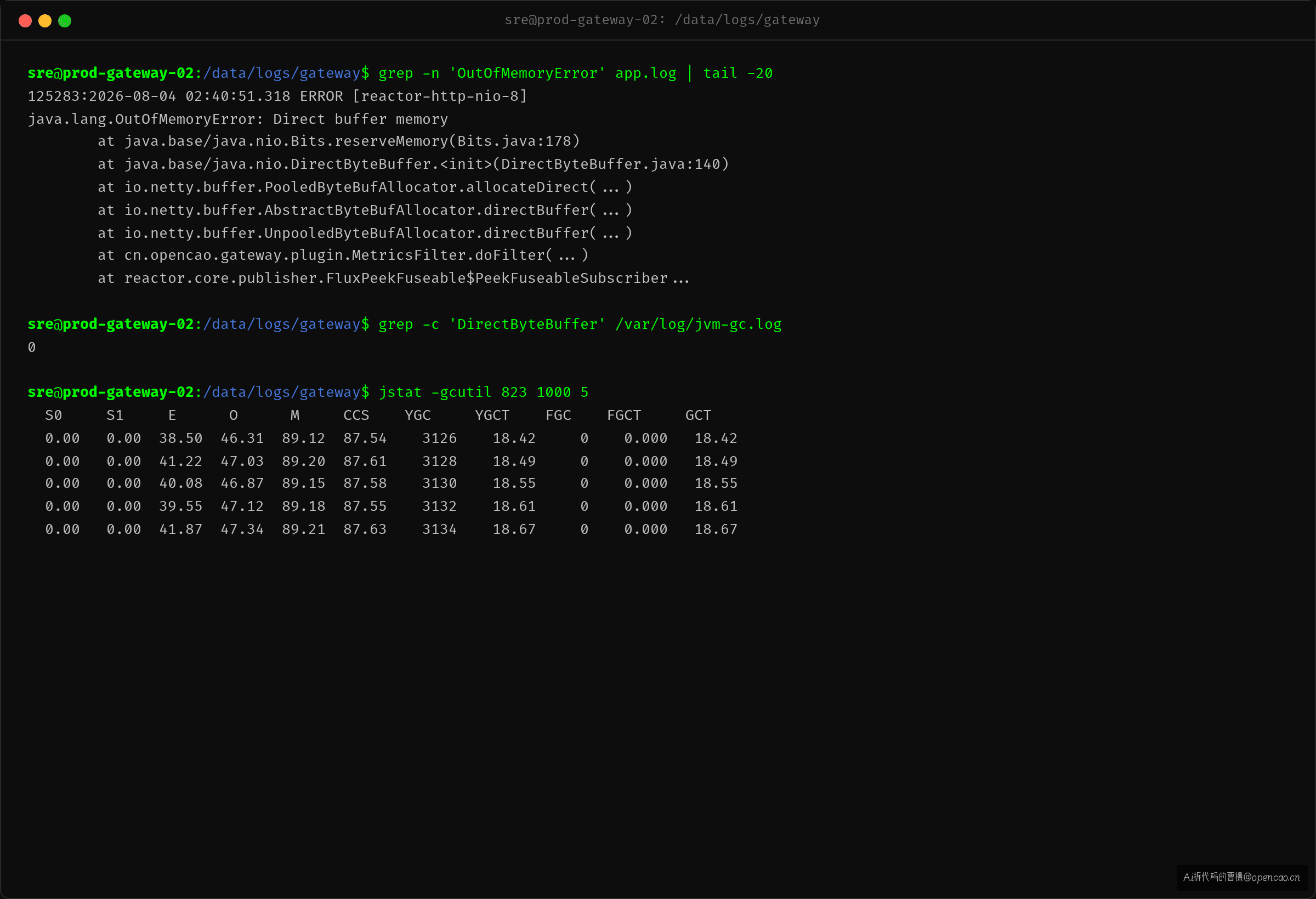 Direct buffer memory OOM 日志