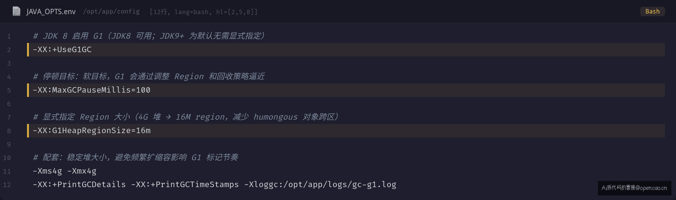 G1 最小参数集:UseG1GC + MaxGCPauseMillis + G1HeapRegionSize