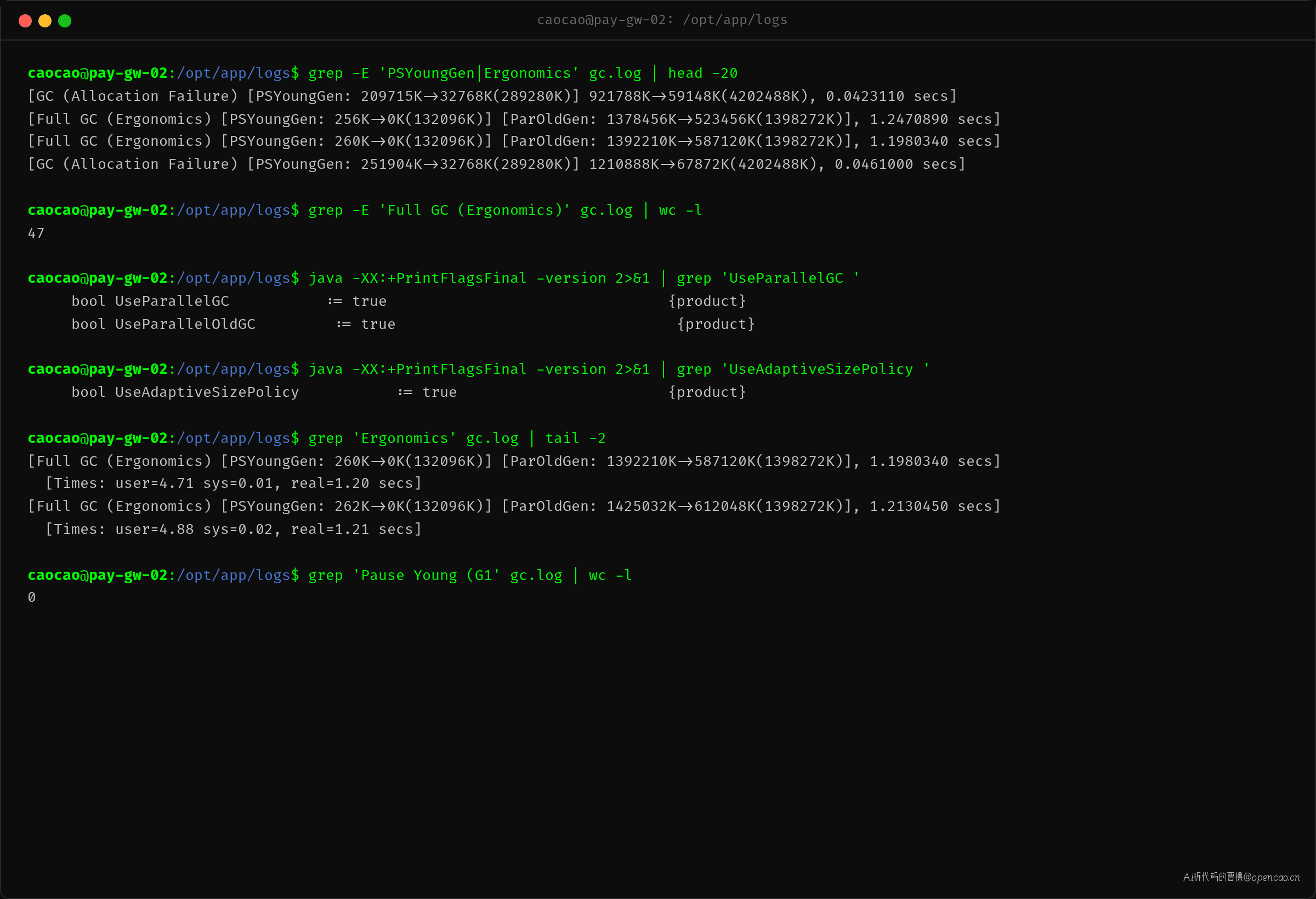 grep 命令与预期输出:PSYoungGen + Ergonomics 定位