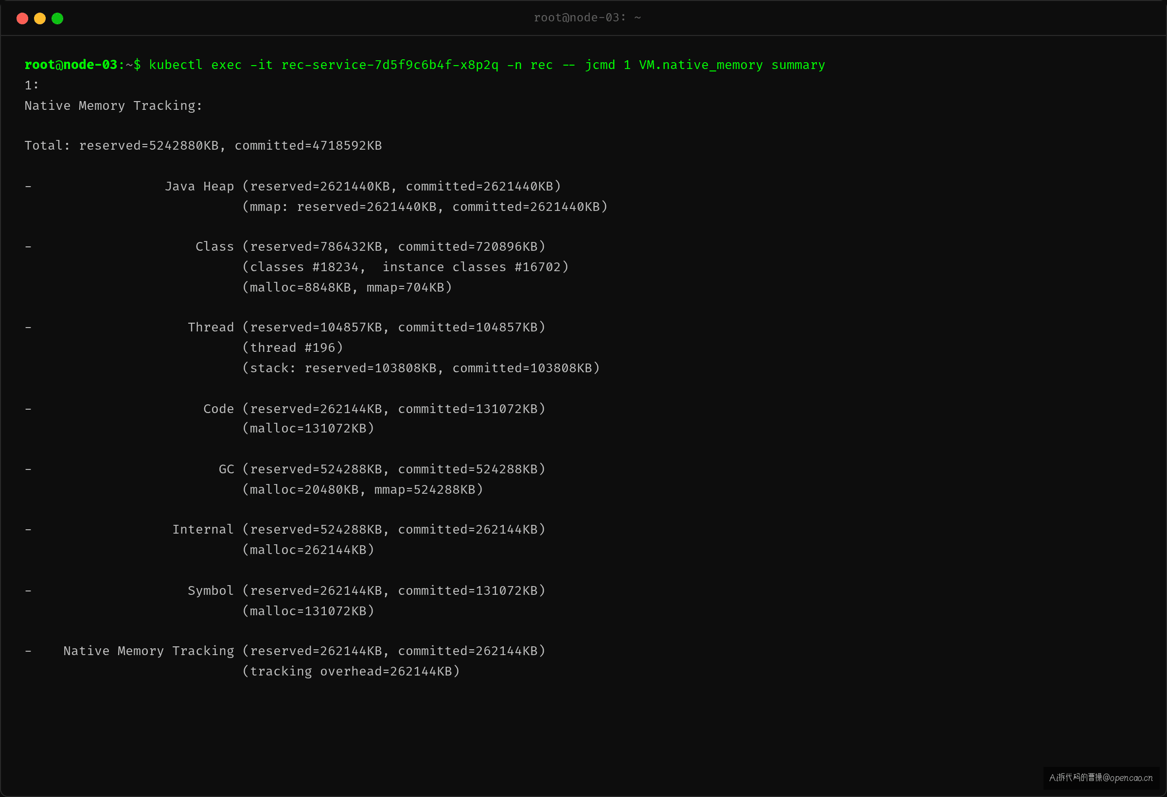 jcmd 查看 JVM 堆外内存账本