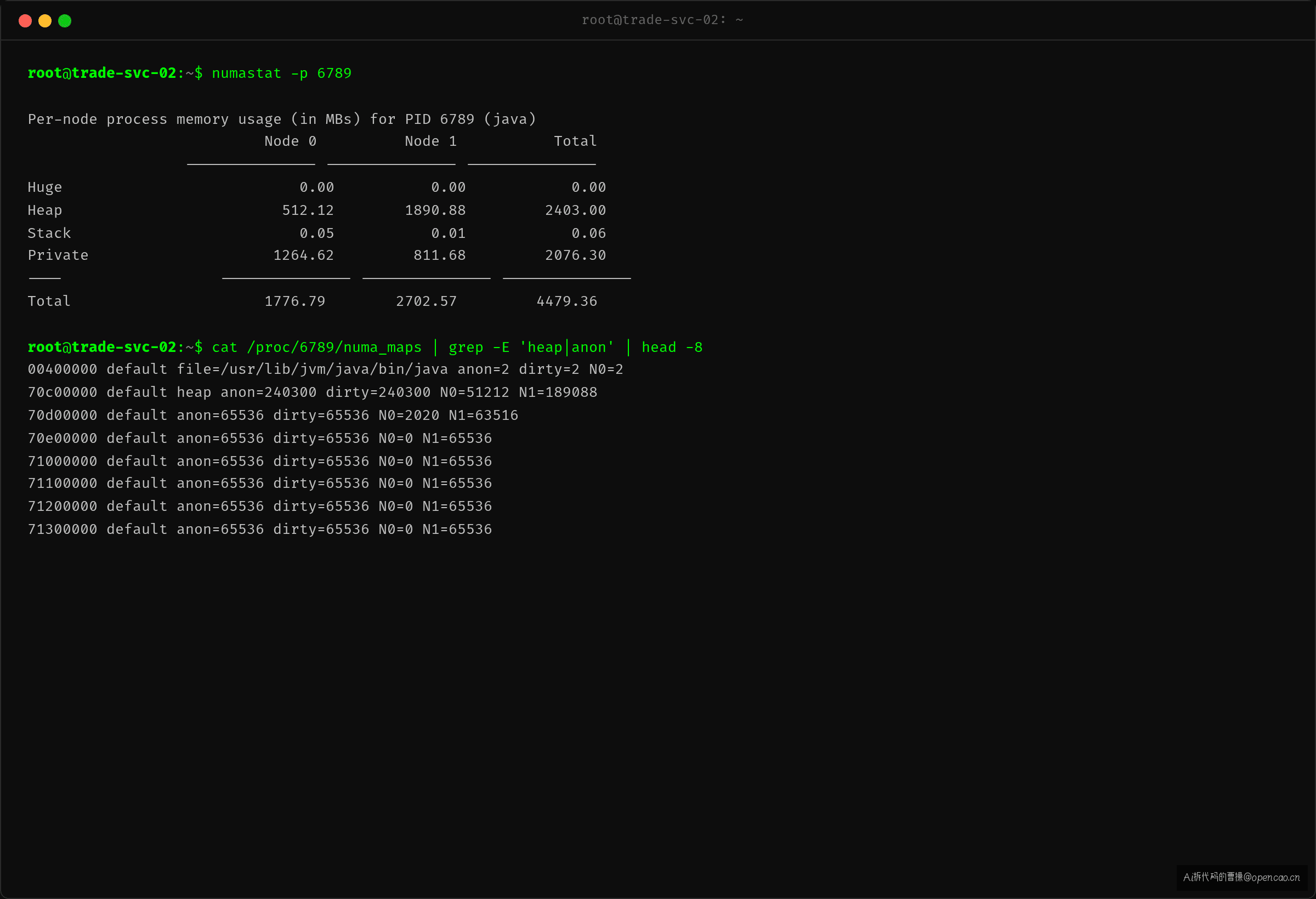 numastat -p 输出——进程 4479MB 内存中 2702MB 落在 node1,而 CPU 被绑在 node0