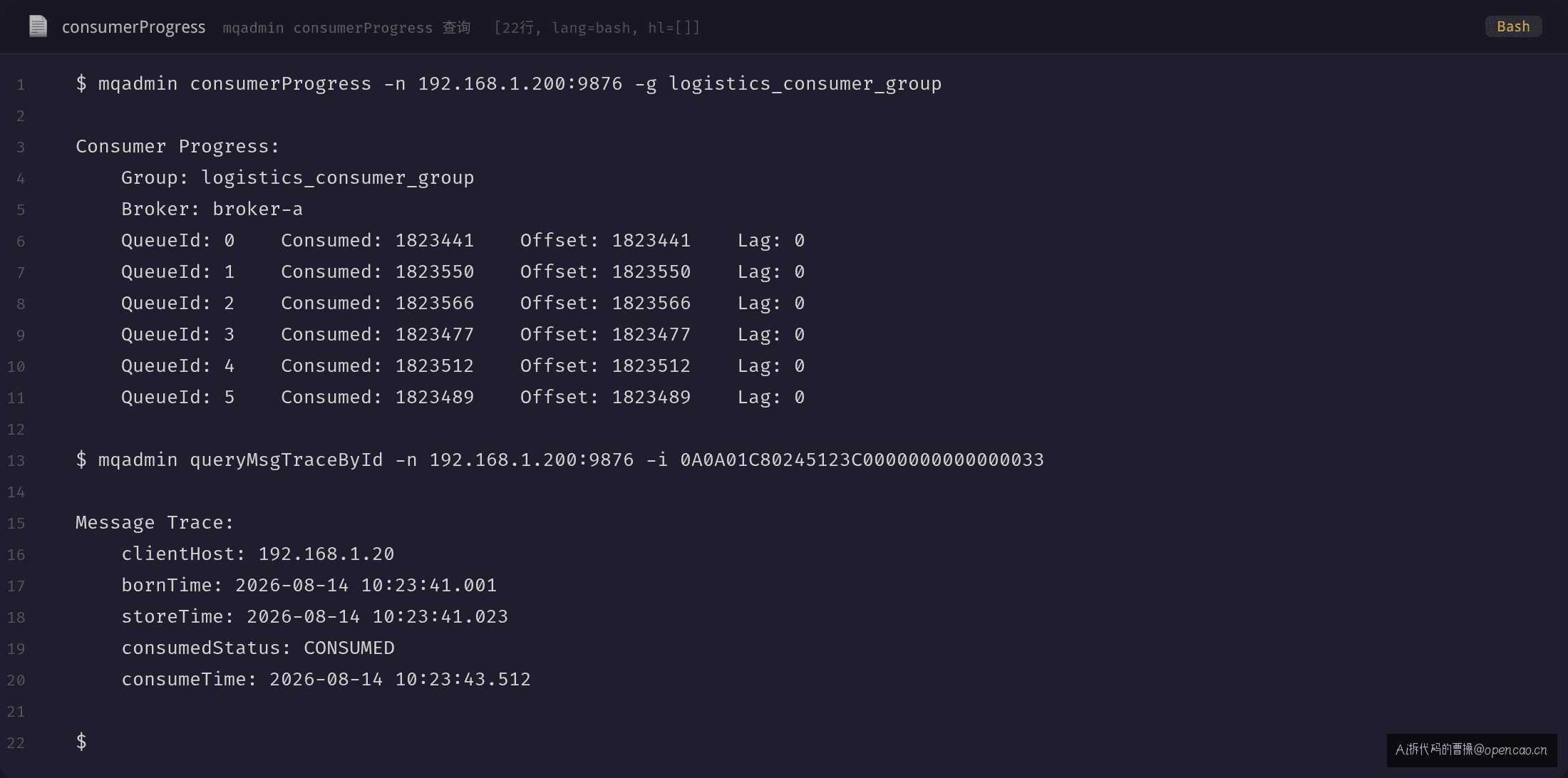 消费端 offset 查询：lag=0