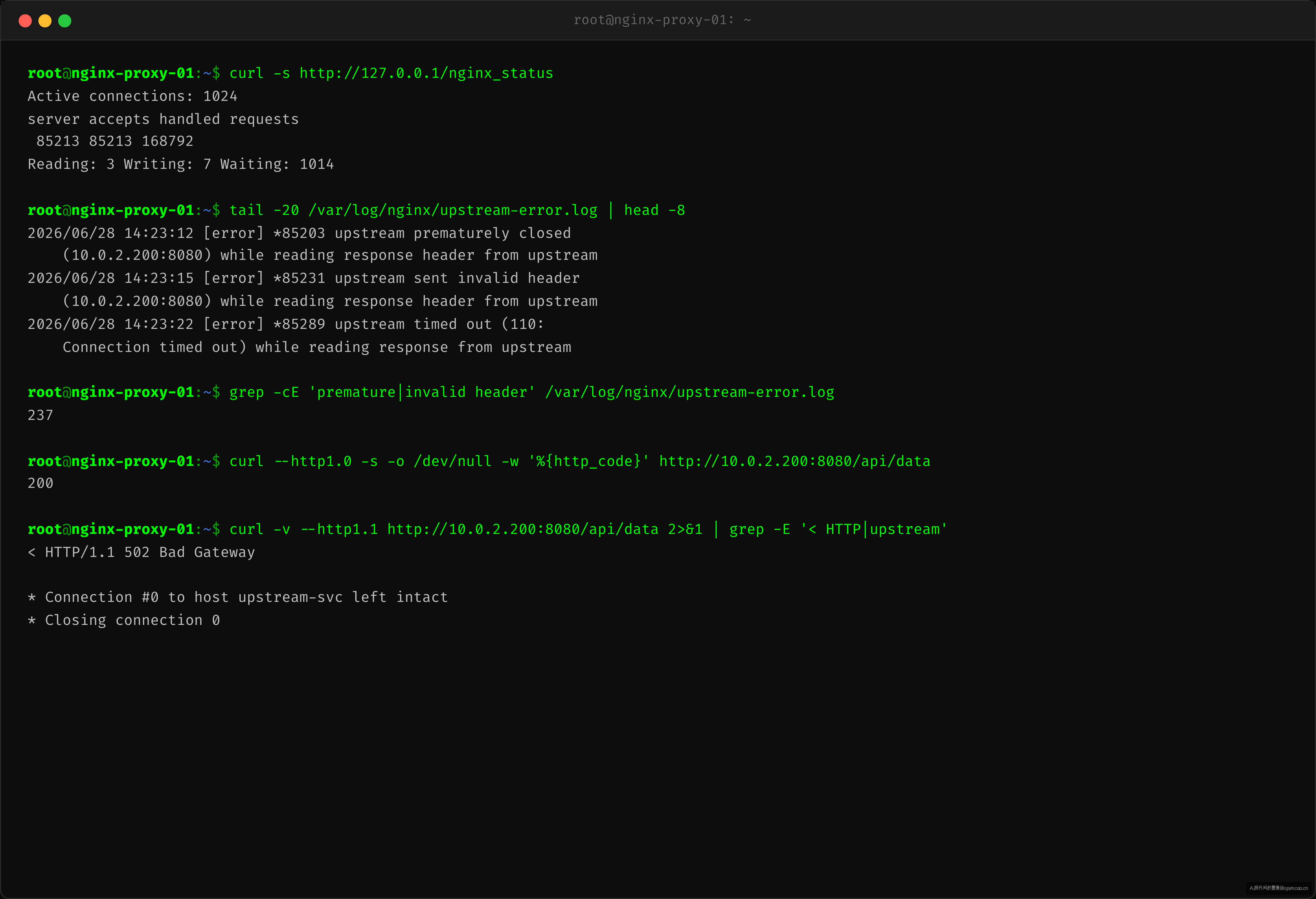 Nginx error log 和 upstream 状态监控